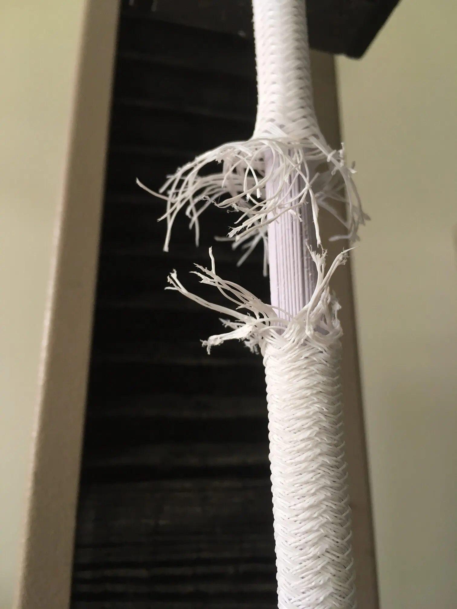 tensile testing white elastic bungee cord rotated